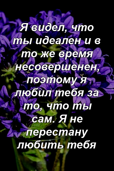 Я видел, что ты идеален и в то же время несовершенен, поэтому я любил тебя за то, что ты сам. Я не перестану любить тебя