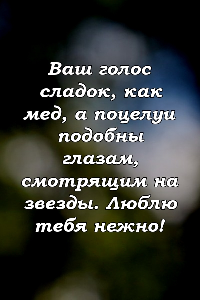 Ваш голос сладок, как мед, а поцелуи подобны глазам, смотрящим на звезды. Люблю тебя нежно!