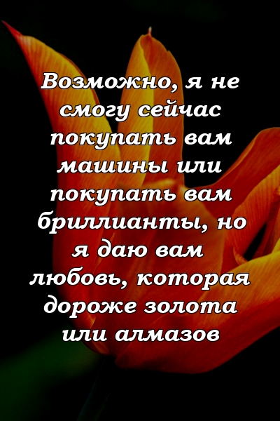 Возможно, я не смогу сейчас покупать вам машины или покупать вам бриллианты, но я даю вам любовь, которая дороже золота или алмазов