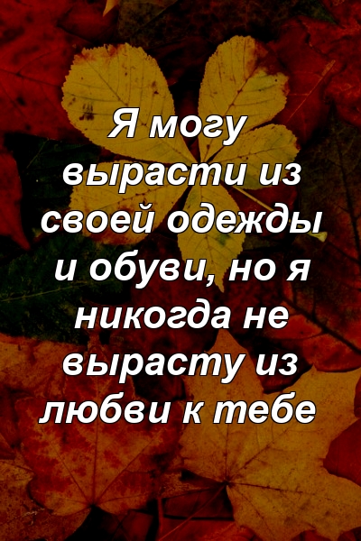 Я могу вырасти из своей одежды и обуви, но я никогда не вырасту из любви к тебе