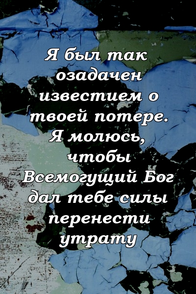 Я был так озадачен известием о твоей потере. Я молюсь, чтобы Всемогущий Бог дал тебе силы перенести утрату