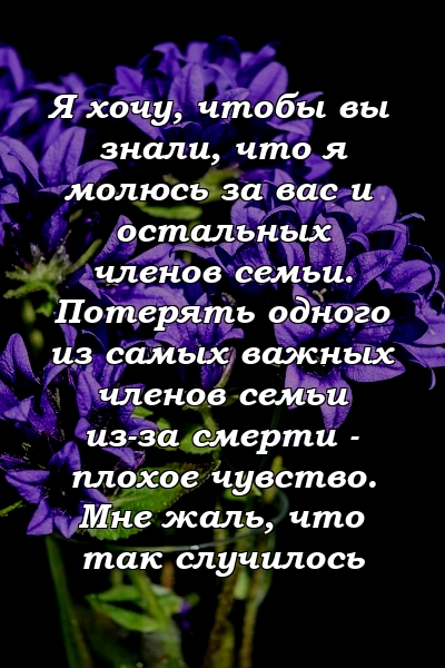 Я хочу, чтобы вы знали, что я молюсь за вас и остальных членов семьи. Потерять одного из самых важных членов семьи из-за смерти - плохое чувство. Мне жаль, что так случилось