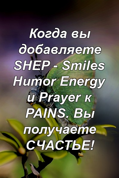 Когда вы добавляете SHEP - Smiles Humor Energy и Prayer к PAINS. Вы получаете СЧАСТЬЕ!