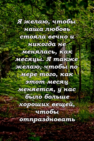 Я желаю, чтобы наша любовь стояла вечно и никогда не менялась, как месяцы. Я также желаю, чтобы по мере того, как этот месяц меняется, у нас было больше хороших вещей, чтобы отпраздновать