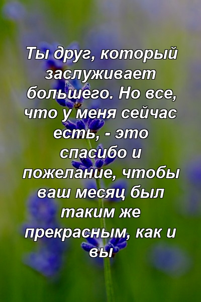 Ты друг, который заслуживает большего. Но все, что у меня сейчас есть, - это спасибо и пожелание, чтобы ваш месяц был таким же прекрасным, как и вы