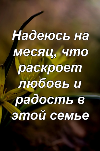 Надеюсь на месяц, что раскроет любовь и радость в этой семье