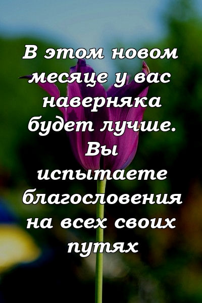 В этом новом месяце у вас наверняка будет лучше. Вы испытаете благословения на всех своих путях