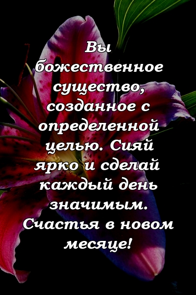 Вы божественное существо, созданное с определенной целью. Сияй ярко и сделай каждый день значимым. Счастья в новом месяце!