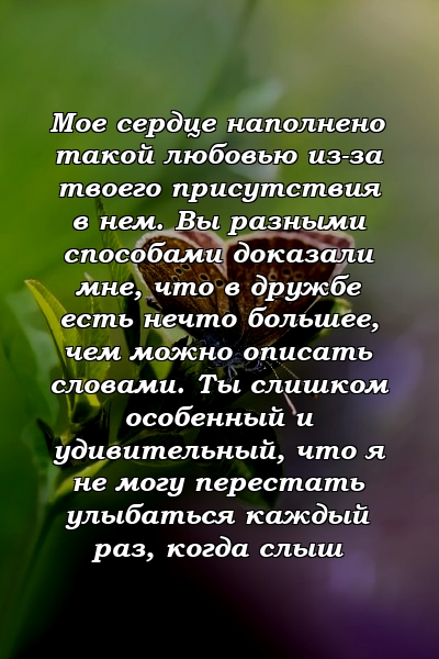 Мое сердце наполнено такой любовью из-за твоего присутствия в нем. Вы разными способами доказали мне, что в дружбе есть нечто большее, чем можно описать словами. Ты слишком особенный и удивительный, что я не могу перестать улыбаться каждый раз, когда слыш