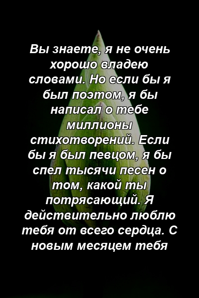 Вы знаете, я не очень хорошо владею словами. Но если бы я был поэтом, я бы написал о тебе миллионы стихотворений. Если бы я был певцом, я бы спел тысячи песен о том, какой ты потрясающий. Я действительно люблю тебя от всего сердца. С новым месяцем тебя