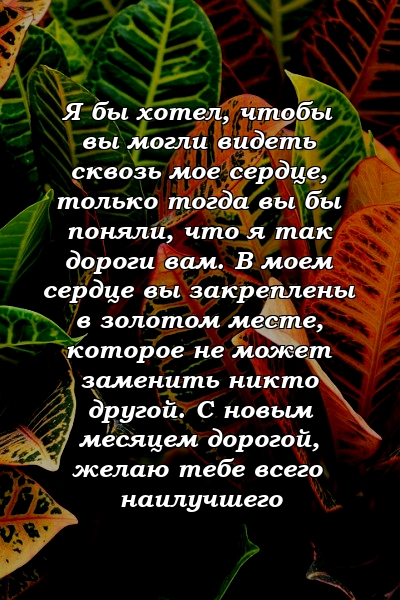 Я бы хотел, чтобы вы могли видеть сквозь мое сердце, только тогда вы бы поняли, что я так дороги вам. В моем сердце вы закреплены в золотом месте, которое не может заменить никто другой. С новым месяцем дорогой, желаю тебе всего наилучшего