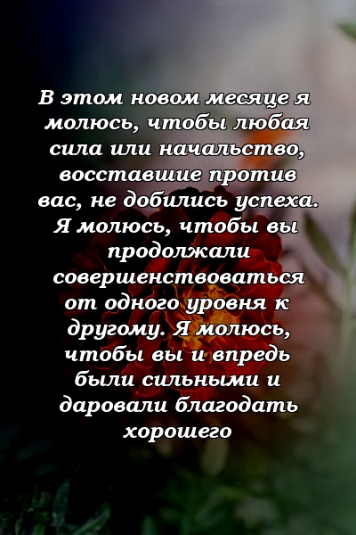 В этом новом месяце я молюсь, чтобы любая сила или начальство, восставшие против вас, не добились успеха. Я молюсь, чтобы вы продолжали совершенствоваться от одного уровня к другому. Я молюсь, чтобы вы и впредь были сильными и даровали благодать хорошего 