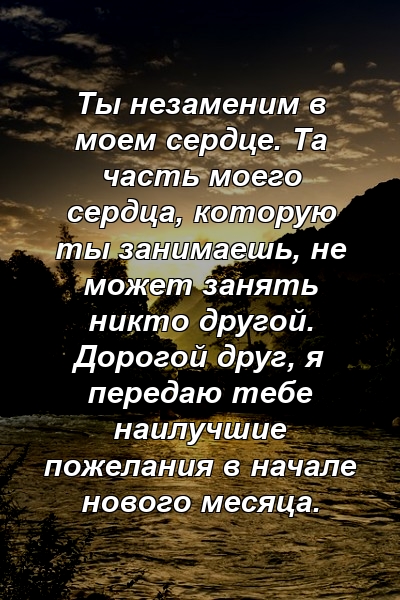 Ты незаменим в моем сердце. Та часть моего сердца, которую ты занимаешь, не может занять никто другой. Дорогой друг, я передаю тебе наилучшие пожелания в начале нового месяца.