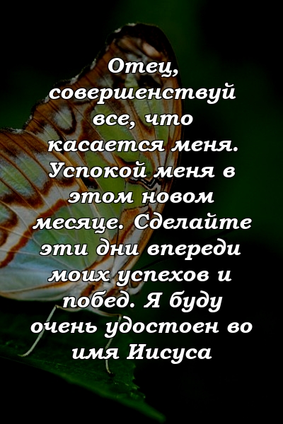 Отец, совершенствуй все, что касается меня. Успокой меня в этом новом месяце. Сделайте эти дни впереди моих успехов и побед. Я буду очень удостоен во имя Иисуса