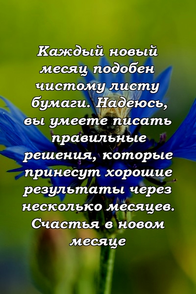 Каждый новый месяц подобен чистому листу бумаги. Надеюсь, вы умеете писать правильные решения, которые принесут хорошие результаты через несколько месяцев. Счастья в новом месяце