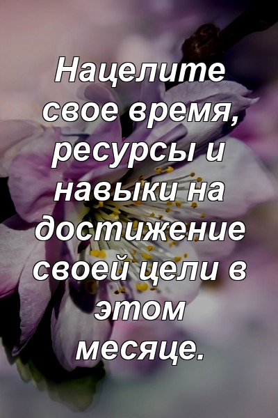 Нацелите свое время, ресурсы и навыки на достижение своей цели в этом месяце.