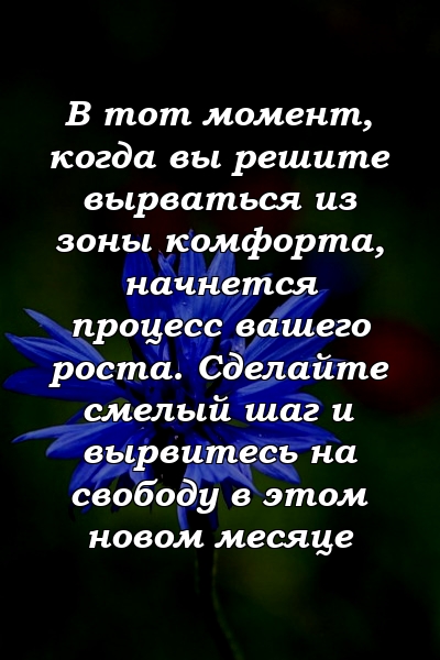 В тот момент, когда вы решите вырваться из зоны комфорта, начнется процесс вашего роста. Сделайте смелый шаг и вырвитесь на свободу в этом новом месяце