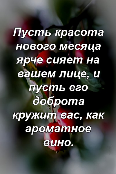 Пусть красота нового месяца ярче сияет на вашем лице, и пусть его доброта кружит вас, как ароматное вино.