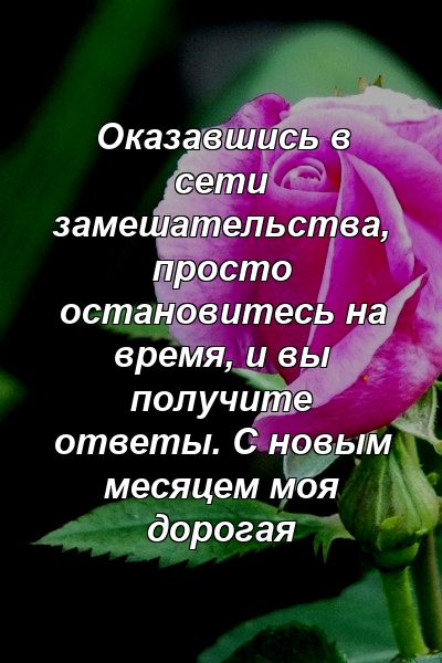 Оказавшись в сети замешательства, просто остановитесь на время, и вы получите ответы. С новым месяцем моя дорогая