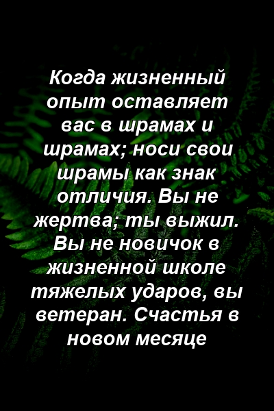 Когда жизненный опыт оставляет вас в шрамах и шрамах; носи свои шрамы как знак отличия. Вы не жертва; ты выжил. Вы не новичок в жизненной школе тяжелых ударов, вы ветеран. Счастья в новом месяце