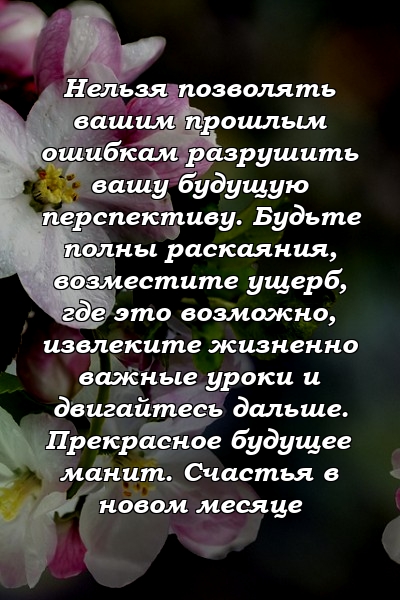 Нельзя позволять вашим прошлым ошибкам разрушить вашу будущую перспективу. Будьте полны раскаяния, возместите ущерб, где это возможно, извлеките жизненно важные уроки и двигайтесь дальше. Прекрасное будущее манит. Счастья в новом месяце