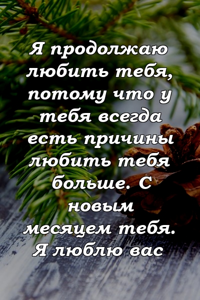 Я продолжаю любить тебя, потому что у тебя всегда есть причины любить тебя больше. С новым месяцем тебя. Я люблю вас