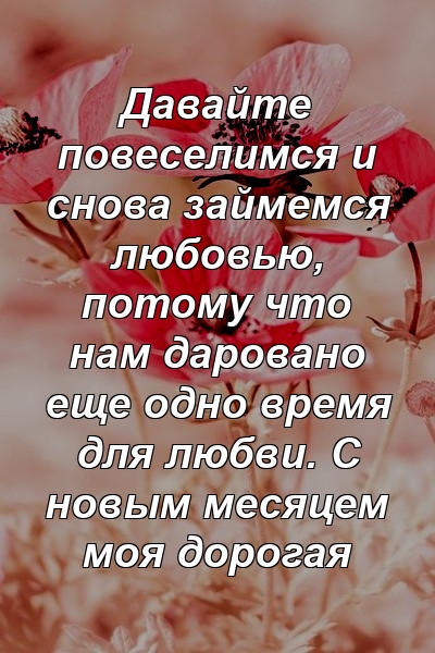 Давайте повеселимся и снова займемся любовью, потому что нам даровано еще одно время для любви. С новым месяцем моя дорогая