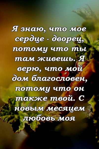 Я знаю, что мое сердце - дворец, потому что ты там живешь. Я верю, что мой дом благословен, потому что он также твой. С новым месяцем любовь моя