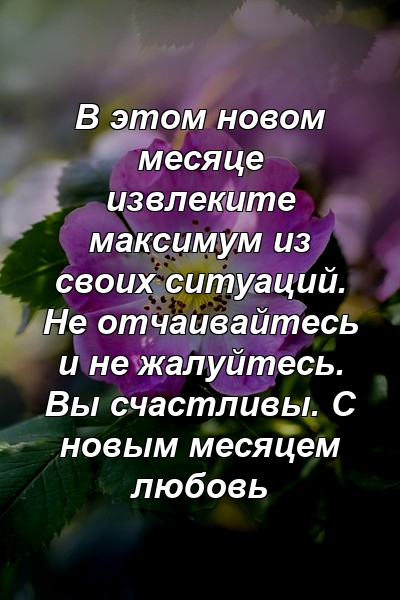 В этом новом месяце извлеките максимум из своих ситуаций. Не отчаивайтесь и не жалуйтесь. Вы счастливы. С новым месяцем любовь