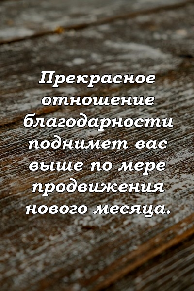 Прекрасное отношение благодарности поднимет вас выше по мере продвижения нового месяца.