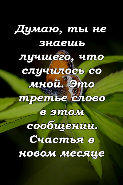 Думаю, ты не знаешь лучшего, что случилось со мной. Это третье слово в этом сообщении. Счастья в новом месяце