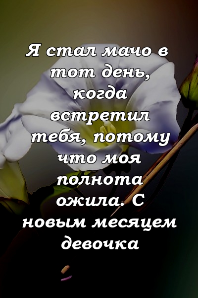 Я стал мачо в тот день, когда встретил тебя, потому что моя полнота ожила. С новым месяцем девочка