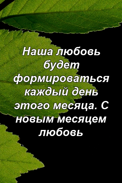 Наша любовь будет формироваться каждый день этого месяца. С новым месяцем любовь