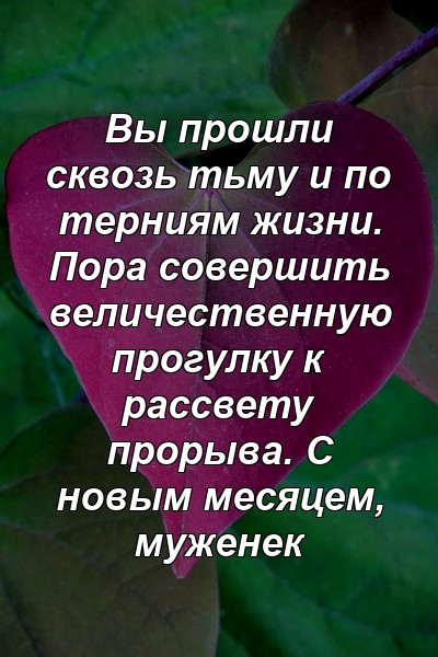 Вы прошли сквозь тьму и по терниям жизни. Пора совершить величественную прогулку к рассвету прорыва. С новым месяцем, муженек