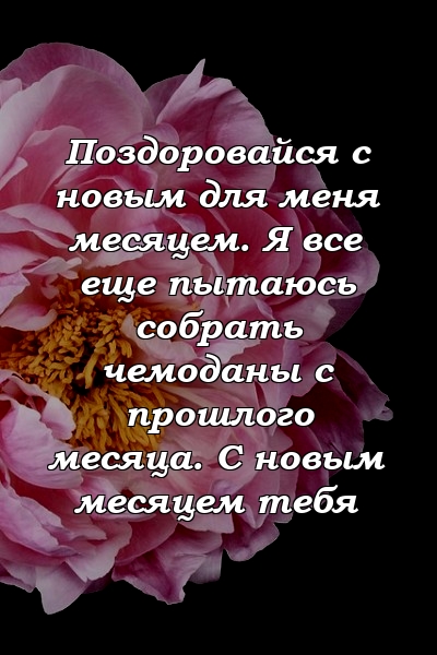 Поздоровайся с новым для меня месяцем. Я все еще пытаюсь собрать чемоданы с прошлого месяца. С новым месяцем тебя