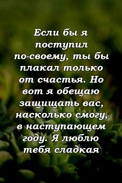 Если бы я поступил по-своему, ты бы плакал только от счастья. Но вот я обещаю защищать вас, насколько смогу, в наступающем году. Я люблю тебя сладкая