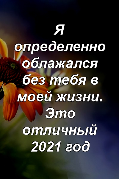 Я определенно облажался без тебя в моей жизни. Это отличный 2021 год