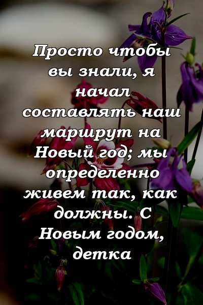 Просто чтобы вы знали, я начал составлять наш маршрут на Новый год; мы определенно живем так, как должны. С Новым годом, детка