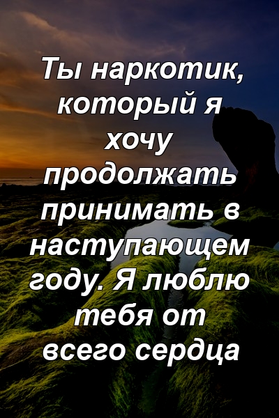 Ты наркотик, который я хочу продолжать принимать в наступающем году. Я люблю тебя от всего сердца