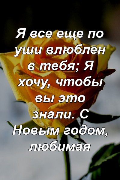 Я все еще по уши влюблен в тебя; Я хочу, чтобы вы это знали. С Новым годом, любимая