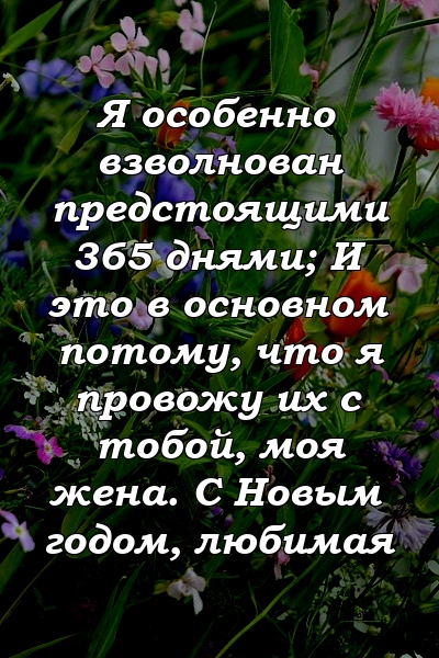 Я особенно взволнован предстоящими 365 днями; И это в основном потому, что я провожу их с тобой, моя жена. С Новым годом, любимая