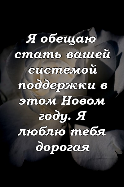 Я обещаю стать вашей системой поддержки в этом Новом году. Я люблю тебя дорогая