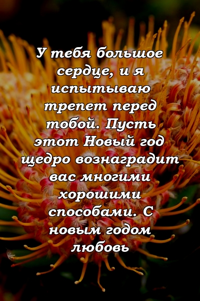 У тебя большое сердце, и я испытываю трепет перед тобой. Пусть этот Новый год щедро вознаградит вас многими хорошими способами. С новым годом любовь