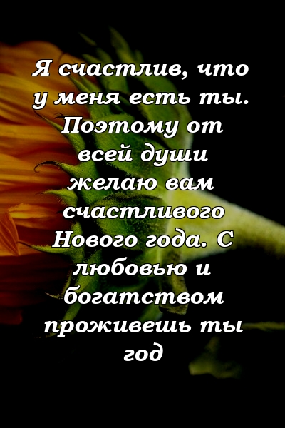 Я счастлив, что у меня есть ты. Поэтому от всей души желаю вам счастливого Нового года. С любовью и богатством проживешь ты год