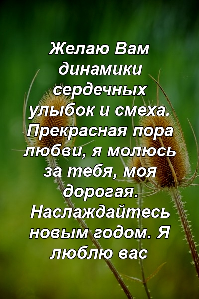 Желаю Вам динамики сердечных улыбок и смеха. Прекрасная пора любви, я молюсь за тебя, моя дорогая. Наслаждайтесь новым годом. Я люблю вас