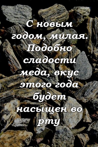 С новым годом, милая. Подобно сладости меда, вкус этого года будет насыщен во рту