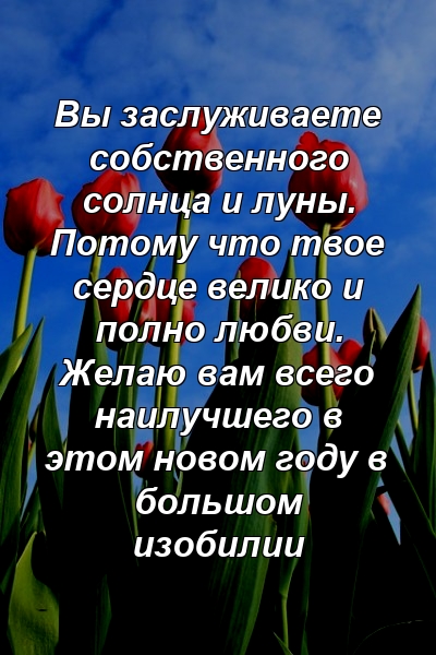 Вы заслуживаете собственного солнца и луны. Потому что твое сердце велико и полно любви. Желаю вам всего наилучшего в этом новом году в большом изобилии