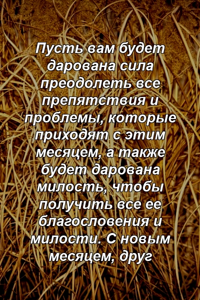 Пусть вам будет дарована сила преодолеть все препятствия и проблемы, которые приходят с этим месяцем, а также будет дарована милость, чтобы получить все ее благословения и милости. С новым месяцем, друг