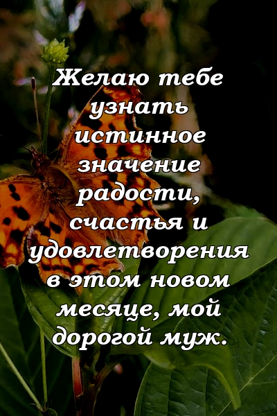 Желаю тебе узнать истинное значение радости, счастья и удовлетворения в этом новом месяце, мой дорогой муж.