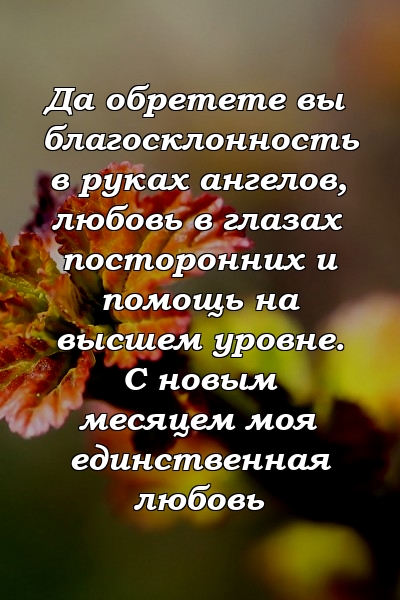 Да обретете вы благосклонность в руках ангелов, любовь в глазах посторонних и помощь на высшем уровне. С новым месяцем моя единственная любовь